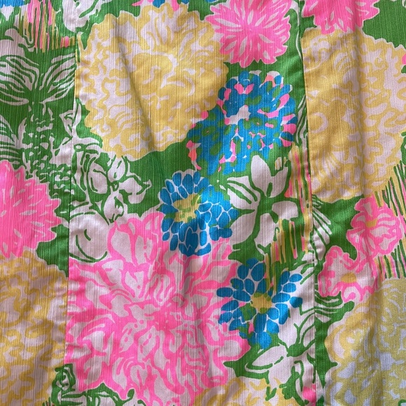 Lilly Pulitzer Dress 00 - Picture 4 of 11